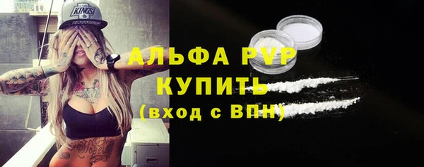 амф Дмитров