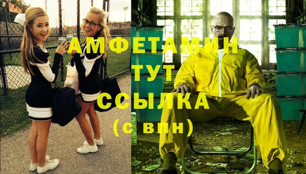 дживик Болохово