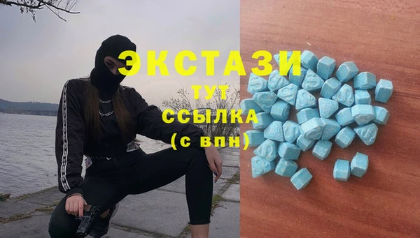 амф Дмитров