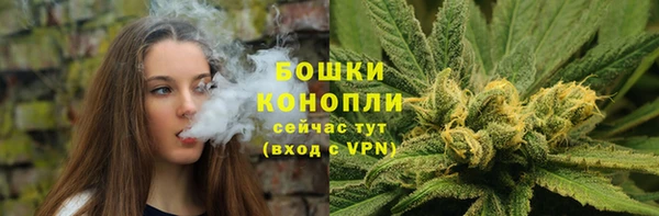 дживик Болохово