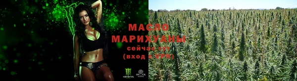 амф Дмитров
